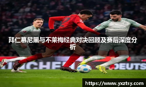 今年会平台入口
